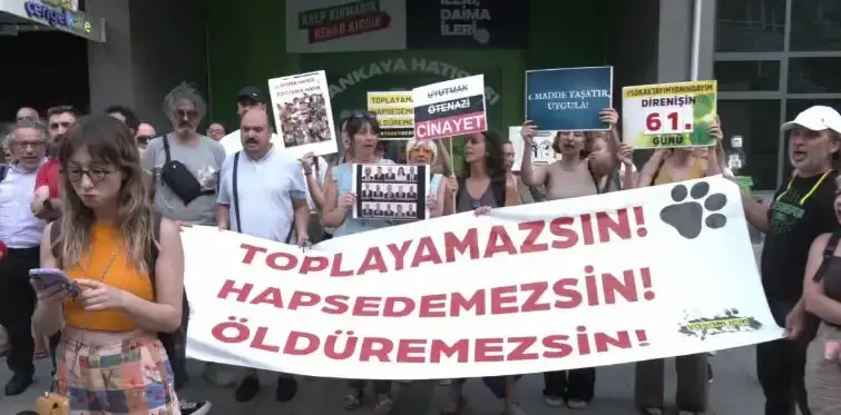 Sokak köpeklerine ötanazi yolunu açan yasa teklifi komisyonda kabul edildi.