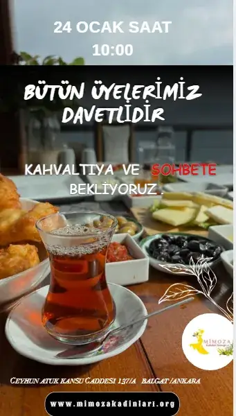 MİMOZA  KADINLARI  DERMEGİ  OLAGAN  AYLIK  TOPLANTI