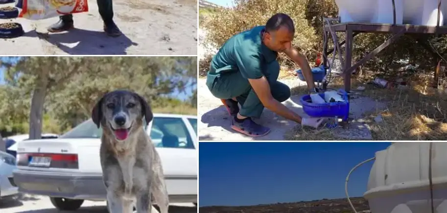 İzmir Veteriner Hekimleri Odası 5 ton mama temin edip Çiğli, Karşıyaka, Bayraklı’da dağıttı; yangın mağduru hayvanları ücretsiz tedavi etti.