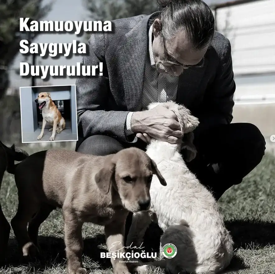 Yapracıkta köpek ıssırma vakası !!! Etimesgut Belediye Başkanı Erdal beşikçioğlu konu ile ilgili basına açıklama yaptı.