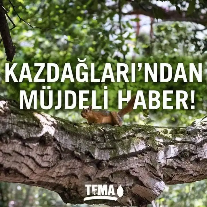 KAZDAĞLARI’NDAN MÜJDELİ HABER.
